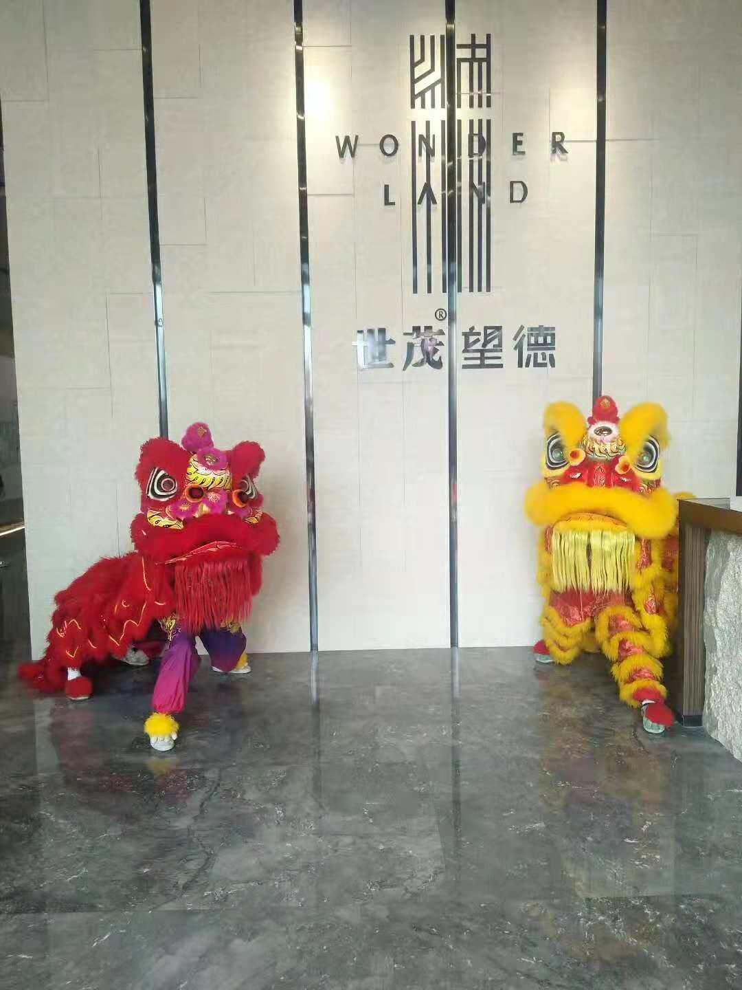 禅城实力醒狮队报价指南 大型礼仪庆典的磅礴之选